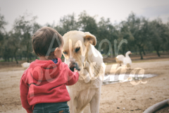 159.Susana-y-Lola-(Badajoz)