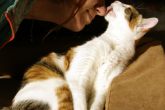 SONY DSC