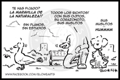 Blowearts_140315_-_